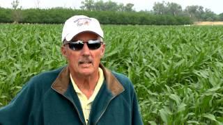 Scott Park Profile in Soil Health