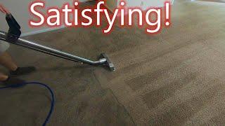 HOW WE DEEP CLEAN CARPET! //Steam Boss Inc.