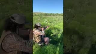 When dove hunting gets boring