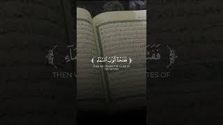 اشتركو⭐️