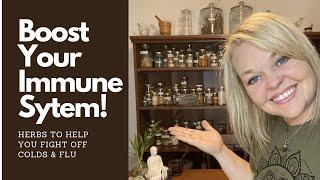 How to Boost your Immune System