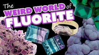 All About Fluorite - Alien Eye, Blue John & More Rare Specimens!