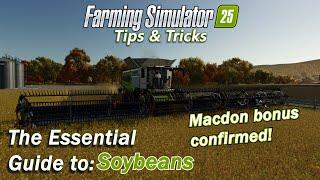 The Essential Guide to Soybeans in Farming Simulator 25