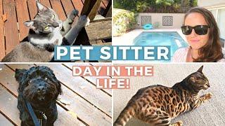 Busy Day in the Life of a PET SITTER! Sydney Vlog 2023