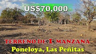 CONSTRUYE en un Terreno de 1 MANZANA en Carretera Poneloya | Lote en Venta en Poneloya