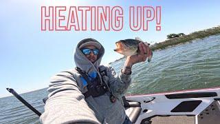 CA Delta (Frank's Tract) Bass Fishing