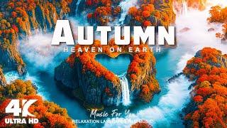 Autumn 4K  Autumn 4K Aerial Film, Scenic Relaxation Film