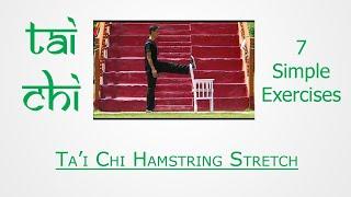 T'ai Chi by Sensei Sandeep Desai -T'ai Chi Hamstring Stretch