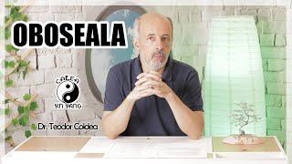 Oboseala - Dr.Teodor Coldea - Calea Yin Yang