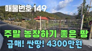 [매물번호 149]주말농장하기 좋은 땅, 급매, 싼땅, 4300만원 #밀양부동산 #밀양촌집 #밀양전원주택 #촌집 #전원주택