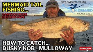 How to catch Summer Kob - Trophy Tails Mermaid Tail doing the Business on Gamtoos!