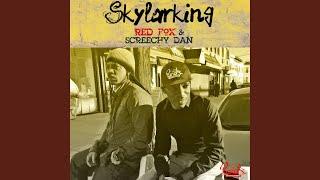 Skylarking