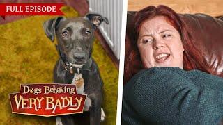 Dogs Behaving Very Badly: Series 3 - Episode 9 | Full Episode