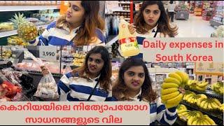 കൊറിയയിലെ നിത്യോപയോഗ സാധനങ്ങളുടെ വിലDaily expenses in South Korea #expenses #korea #koreadailylife