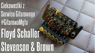 Ciekawostki z Serwisu Gitarowego - Floyd Rose Schaller II + Stevenson & Brown - FOG