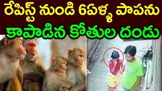 రేపిస్ట్ నుండి 6ఏళ్ళ పాపను||కాపాడిన కోతుల దండు||A 6-year-old child from a rapist||PARASHURAM TALKS#