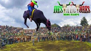 11 TOROS DESTRUCTORES DE MEMO OCAMPO!! JARIPEO EN ZINCIRO MICHOACAN 13 DE DICIEMBRE 2023