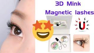 How to Apply Magnetic Lashes-Eyelash Extension Supplies Review