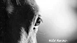 Wild Horses