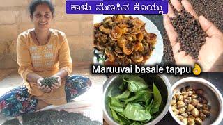 Maruvai basale soppina combination ||Clams Malabar Spinach recipe ||Black Pepper cleaning Vlog