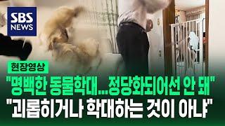 "교육 방법 마음에 든다" vs "동물 학대로 신고하고 싶다"…반려견 행동교정 유튜버, '동물보호법 위반 혐의'로 고발당해 (현장영상) / SBS