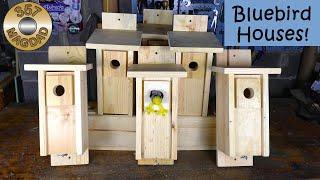 Woodworking Project - Bluebird Birdhouses for the County