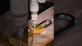 Random Facts! #Curious #facts #didyouknow #viral #curiousfacts #satisfying #interestingfacts