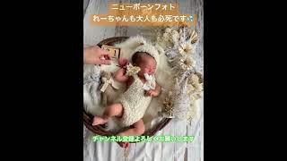ニューボーンフォト 生後15日目 れーちゃんと大人の戦い #赤ちゃん #baby #癒し #可愛い #生後15日目#shorts #short