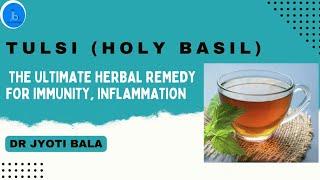 Tulsi (Holy Basil): Phytochemicals for Immunity, Inflammation| Health Benefits of Tulsi & Ayurveda