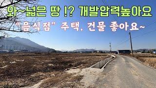 "여기 어때? 좌부동 땅! 식당도 되고, 집도 되고, 개발도 되고 다 되요~~