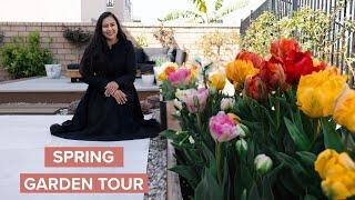 Cozy Spring Cottage Garden Tour Of David Austin Roses | Urban Gardening | Slow Living