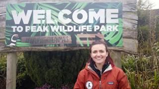 A Thank you from Peak Wildlife Park amid Covid-19 closure