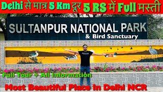 Sultanpur National Park Gurugram Haryana | Sultanpur Bird Sanctuary Gurgaon