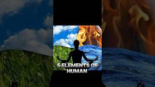 5 elements of human