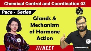 Chemical Control & Coordination 02 | Glands & Mechanism of hormone Action | 11 | NEET | PACE Series