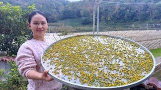 Wild chrysanthemums,picked and preserved like this,have a fragrant aroma!