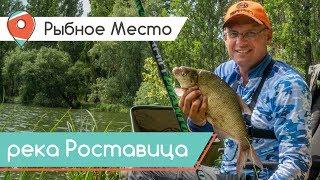 Рыбное место. Поплавок или фидер? Рыбалка не по плану.