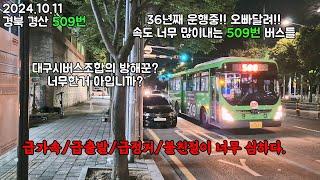 BUS.41 경북 경산 509번 놀이기구 타러 이월드에 갈 필요없다!! 경산/시지 ⬌ 성서/서재를 이어주는 유일한 노선  (경산버스 7311),(2024.10.11) #경산