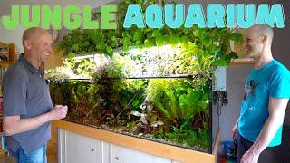 Aquarium oder schon Paludarium? Peters Jungle Aquarium | AQUAddicted! unterwegs...