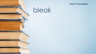 Level 7 Vocabulary - Bleak - Definition \ Meaning