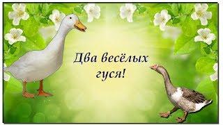 Два весёлых гуся!