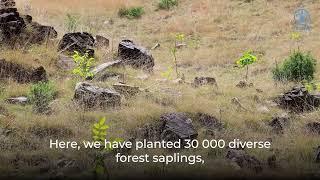 Forest restoration in Afghanistan