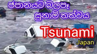 ජපානය මුහුන දුන් සුනාමි අනතුරJapan Tsunami#srilanka #viralnews #tsunami