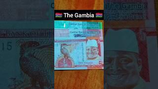  The Gambia Banknotes  || Gambian Dalasis || The Gambia Currency || The Gambia Money #shorts