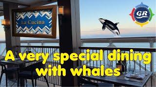 Dining with whales in Alaska - NCL Bliss | La Cucina Italian Restaurant