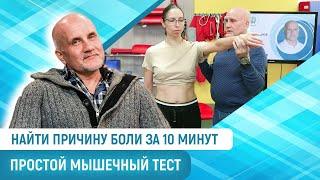 Выявить «слабую» мышцу за 10 минут. Курс мышечного тестирования для реабилитологов и тренеров | МАМР