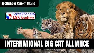 INTERNATIONAL BIG CAT ALLIANCE | Best IAS Academy in Hyderabad & Vijayawada