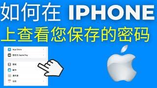 如何在 iPhone 上查看您保存的密码(2024)