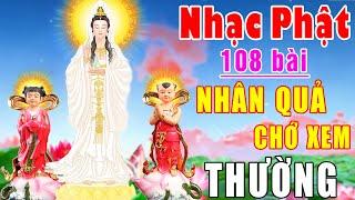 Nhạc Phât - Nhạc Phật Giáo - LK Nhạc Phật Giáo Hay Nhất 2024 #NHÂN QUẢ CHỚ XEM THƯỜNG #NgheHếtNghiệp