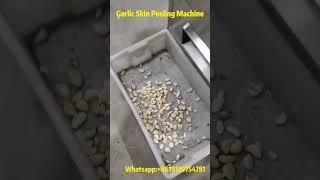 Garlic Cloves Processing Made Easy: This Skin Peeling Machine Is So Powerful!